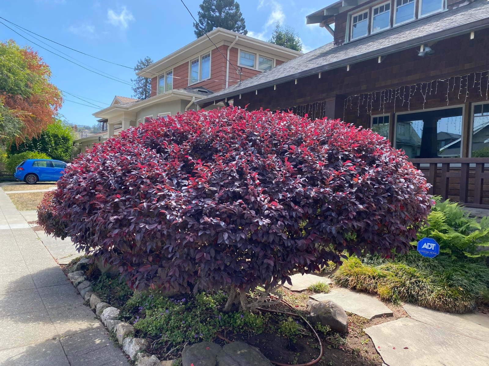 8 years, one crew, hands-on every job — Eli Landscaping crew at work