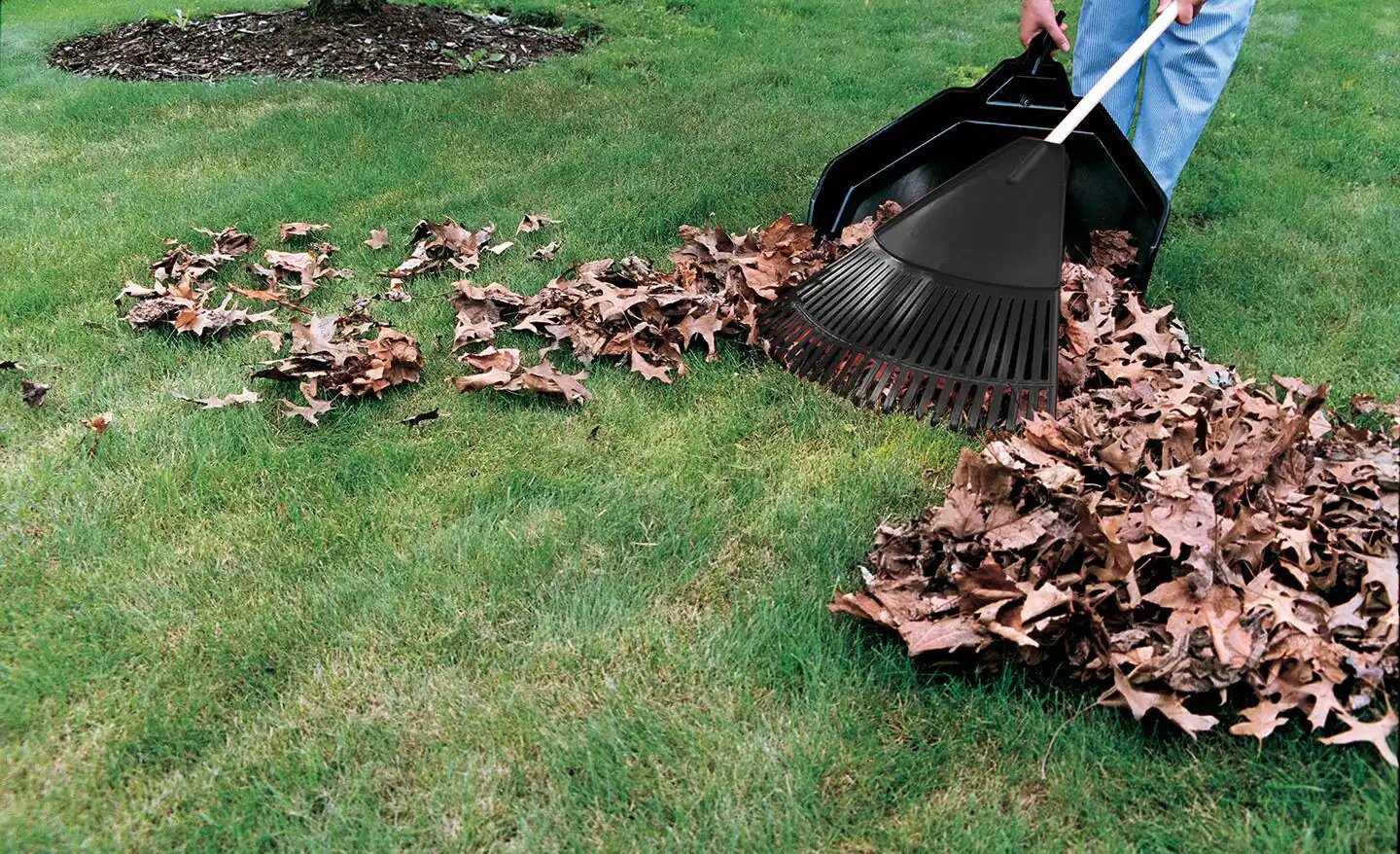 Clean Up