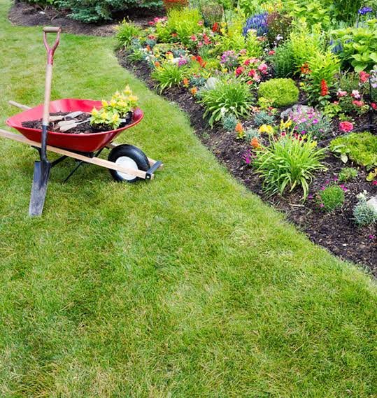 Garden Design