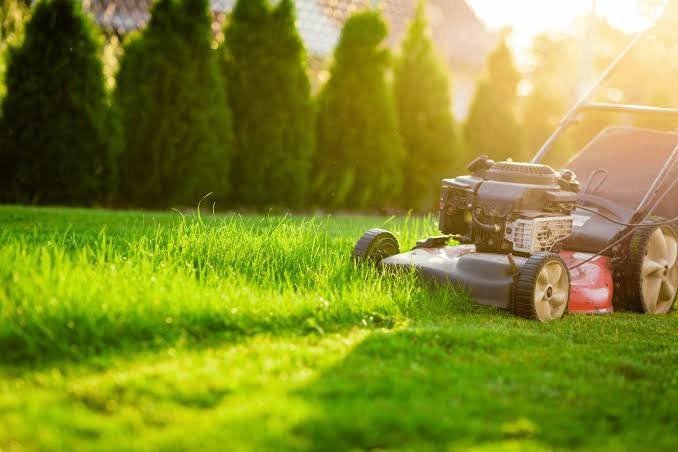 Lawn Mowing