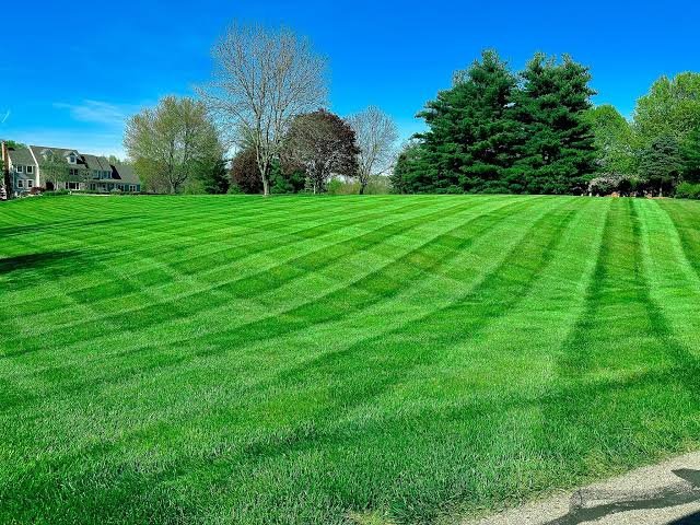 New Lawn Installation